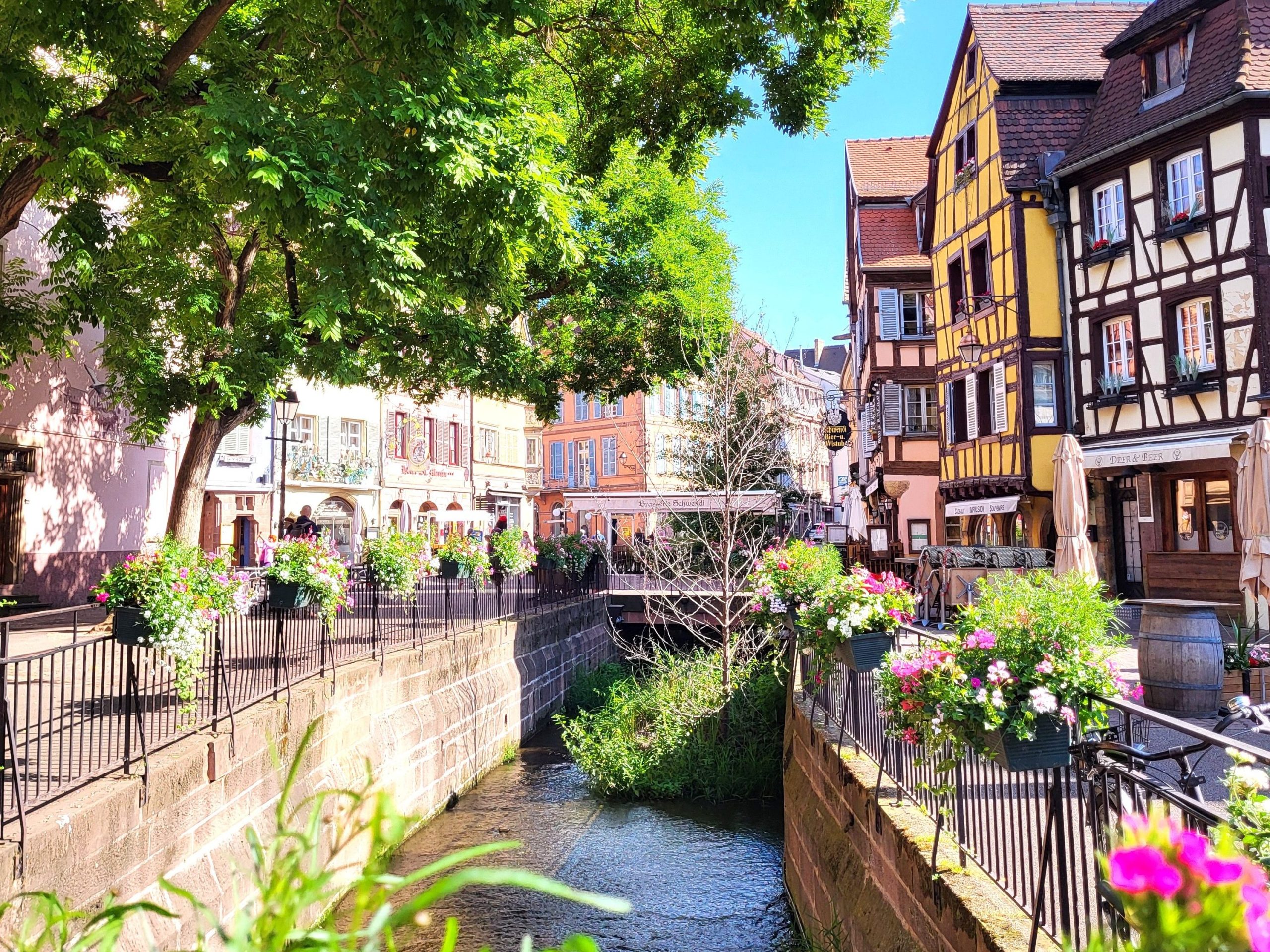 Colmar